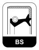 BS