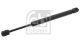FEBI BILSTEIN Gasfeder, Koffer-/Laderaum 01786