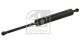 FEBI BILSTEIN Gasfeder, Koffer-/Laderaum 03913