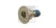 FEBI BILSTEIN Schraube, Bremsscheibe 05560