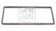 FEBI BILSTEIN Steuerkette 100075