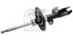 FEBI BILSTEIN Stoßdämpfer 1002894