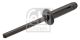 FEBI BILSTEIN Blindniet 100639
