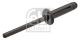 FEBI BILSTEIN Blindniet 100643