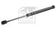 FEBI BILSTEIN Gasfeder, Koffer-/Laderaum 101781