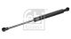 FEBI BILSTEIN Gasfeder, Motorhaube 101784