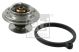 FEBI BILSTEIN Thermostat, Kühlmittel 10262