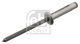 FEBI BILSTEIN Blindniet 102732