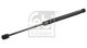 FEBI BILSTEIN Gasfeder, Koffer-/Laderaum 103837