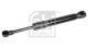 FEBI BILSTEIN Gasfeder, Koffer-/Laderaum 103855