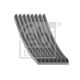 FEBI BILSTEIN Keilrippenriemen 104687
