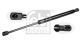 FEBI BILSTEIN Gasfeder, Koffer-/Laderaum 106701