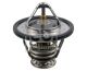 FEBI BILSTEIN Thermostat, Kühlmittel 107700