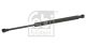 FEBI BILSTEIN Gasfeder, Koffer-/Laderaum 12349