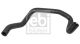 FEBI BILSTEIN Kühlerschlauch 171204
