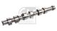 FEBI BILSTEIN Nockenwelle 172023
