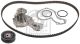 FEBI BILSTEIN Wasserpumpe + Zahnriemensatz 172599