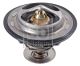 FEBI BILSTEIN Thermostat, Kühlmittel 172714