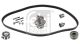 FEBI BILSTEIN Wasserpumpe + Zahnriemensatz 173075