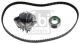 FEBI BILSTEIN Wasserpumpe + Zahnriemensatz 173134