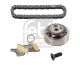 FEBI BILSTEIN Steuerkettensatz 173663