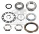 FEBI BILSTEIN Radlagersatz 173680