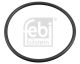 FEBI BILSTEIN Dichtring, Radnabe 179379