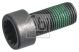FEBI BILSTEIN Schwungradschraube 179619
