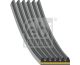 FEBI BILSTEIN Keilrippenriemen 181284