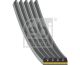 FEBI BILSTEIN Keilrippenriemen 181286