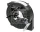 FEBI BILSTEIN Wickelfeder, Airbag 181302