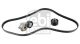 FEBI BILSTEIN Keilrippenriemensatz 183560