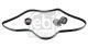 FEBI BILSTEIN Keilrippenriemensatz 184865