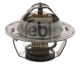 FEBI BILSTEIN Thermostat, Kühlmittel 18971