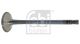 FEBI BILSTEIN Auslassventil 21036