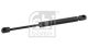 FEBI BILSTEIN Gasfeder, Koffer-/Laderaum 23398