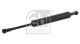 FEBI BILSTEIN Gasfeder, Koffer-/Laderaum 24709