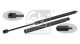 FEBI BILSTEIN Gasfeder, Motorhaube 24738