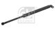 FEBI BILSTEIN Gasfeder, Koffer-/Laderaum 27596
