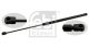 FEBI BILSTEIN Gasfeder, Koffer-/Laderaum 27644