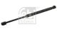 FEBI BILSTEIN Gasfeder, Koffer-/Laderaum 27744
