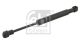 FEBI BILSTEIN Gasfeder, Koffer-/Laderaum 27898