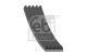 FEBI BILSTEIN Keilrippenriemen 28856