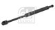 FEBI BILSTEIN Gasfeder, Koffer-/Laderaum 29431