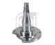 FEBI BILSTEIN Achszapfen, Achskörper 29656