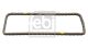 FEBI BILSTEIN Steuerkette 30669