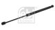 FEBI BILSTEIN Gasfeder, Koffer-/Laderaum 31658
