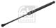 FEBI BILSTEIN Gasfeder, Koffer-/Laderaum 31660