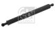 FEBI BILSTEIN Gasfeder, Koffer-/Laderaum 32048