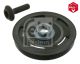 FEBI BILSTEIN Riemenscheibe, Kurbelwelle 33528